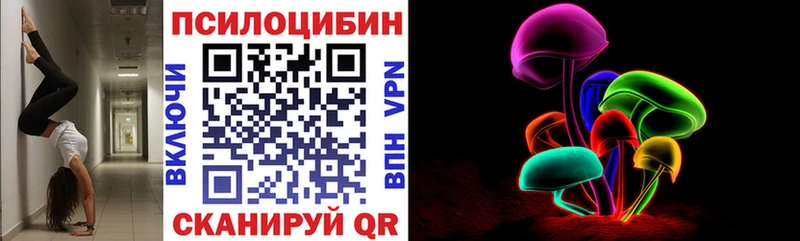 наркота  Холмск  Галлюциногенные грибы Psilocybe 